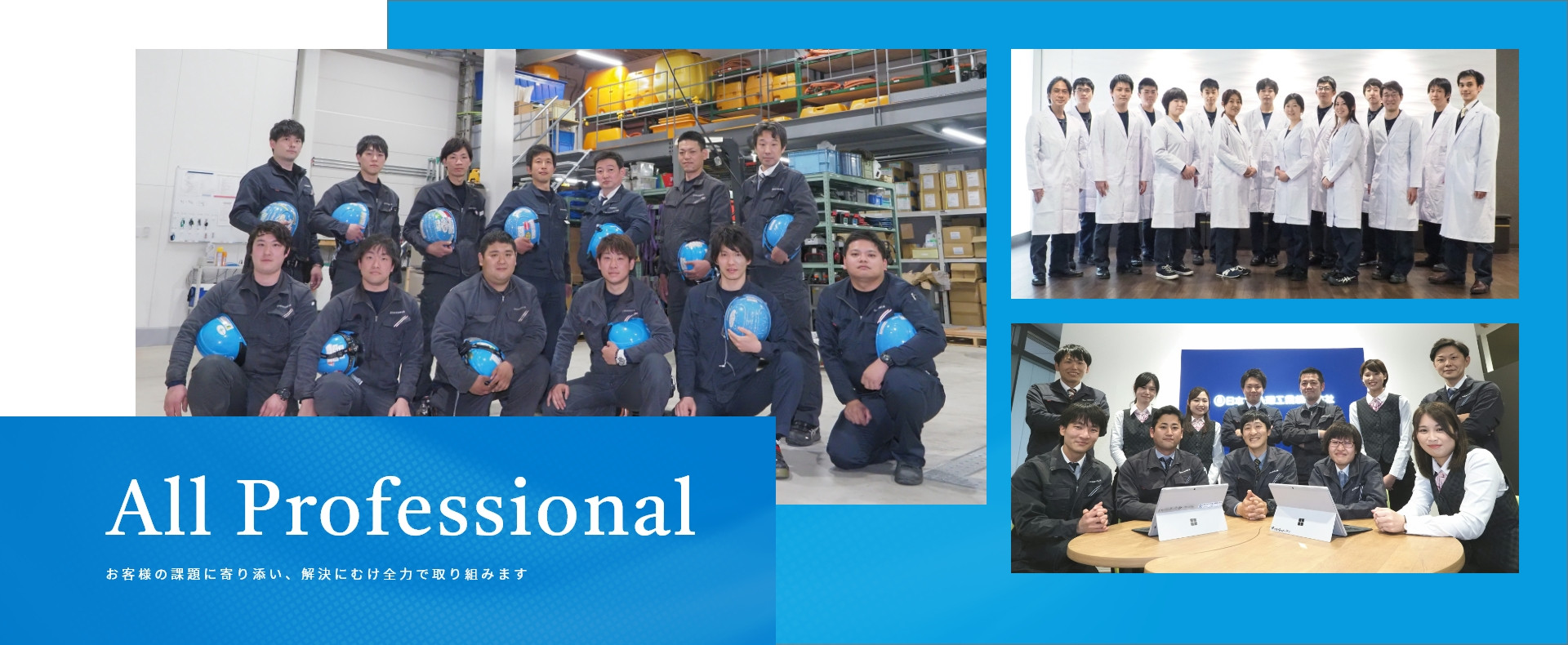 All Professional