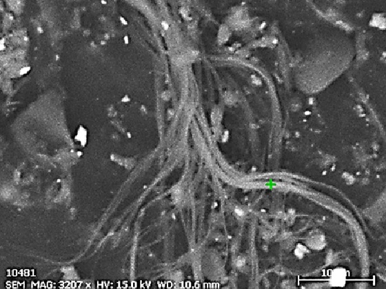 走査型電子顕微鏡で見た白石綿